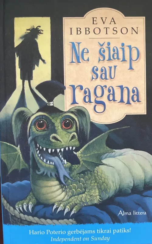 Ne šiaip sau ragana - Eva Ibbotson, knyga
