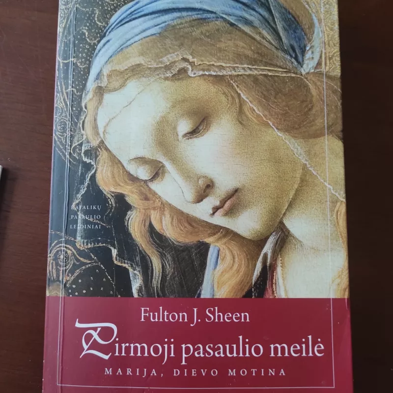 Pirmoji pasaulio meilė: Marija, Dievo Motina - Fulton J. Sheen, knyga 3