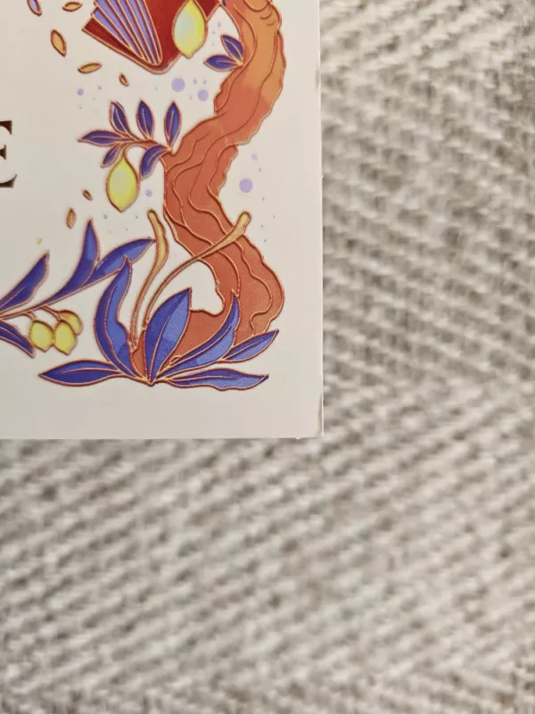 This Vicious Grace - Emily Thiede, knyga 5