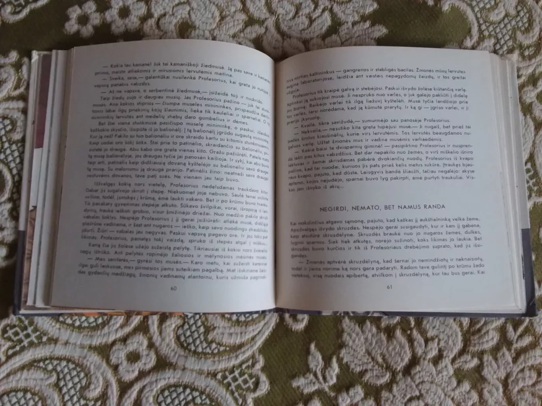 Šešiakojai - Gediminas Isokas, knyga 4