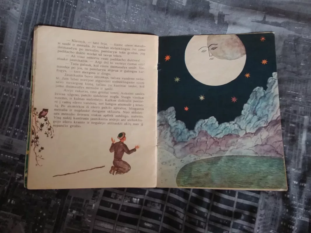 Padišacho duktė ir karžygys - K. Ulug-Zade, knyga 3