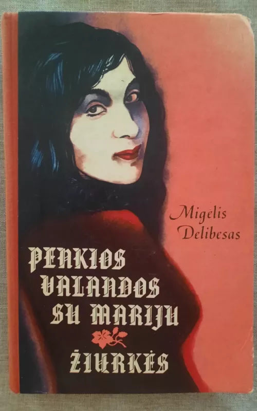 Penkios valandos su Mariju. Žiurkės - Migelis Delibesas, knyga