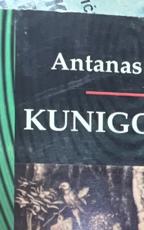 Kunigo meilė - Antanas Paškus, knyga