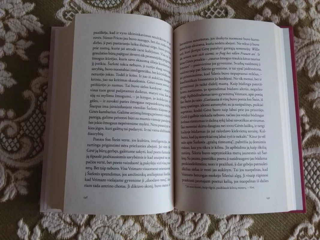 Meilės poros Zentos Maurinios akimis - Ingrida Sokolova, knyga 3