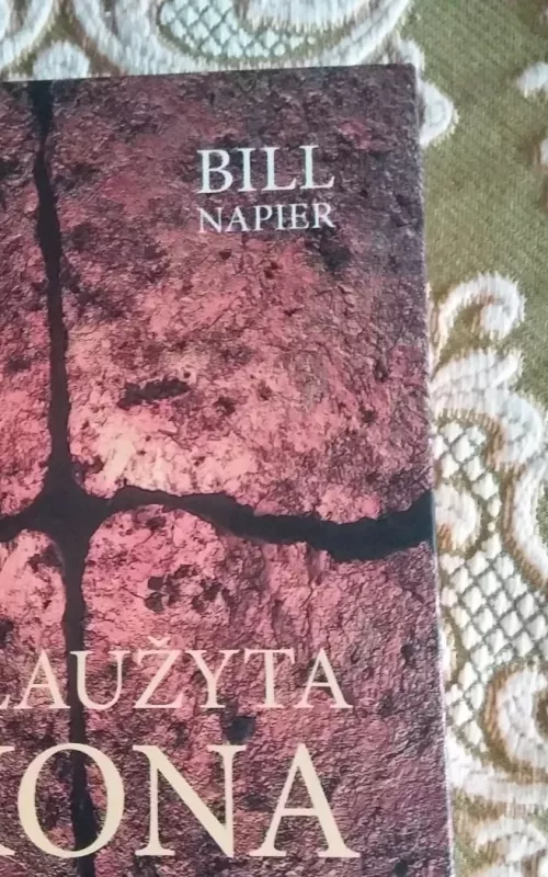 Sulaužyta ikona - Bill Napier, knyga 2