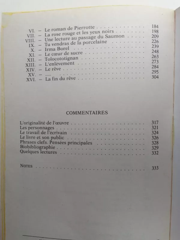 Le petit chose - Alphonse Daudet, knyga 4