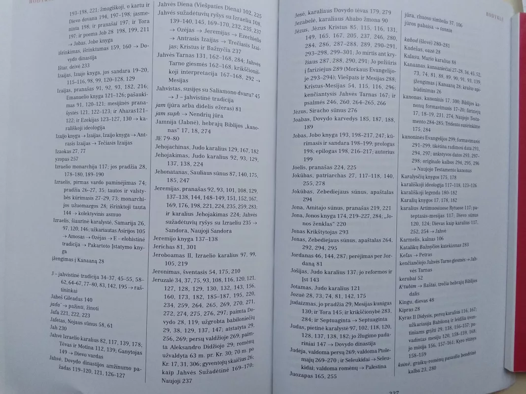 Pašnekesiai apie Bibliją - Anna Swiderkowna, knyga 6