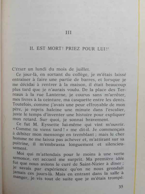 Le petit chose - Alphonse Daudet, knyga 5