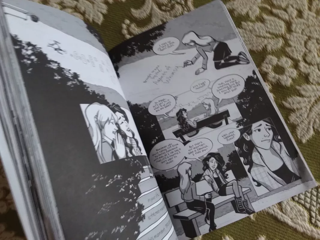 Page by Paige - Laura Lee Gulledge, knyga 4