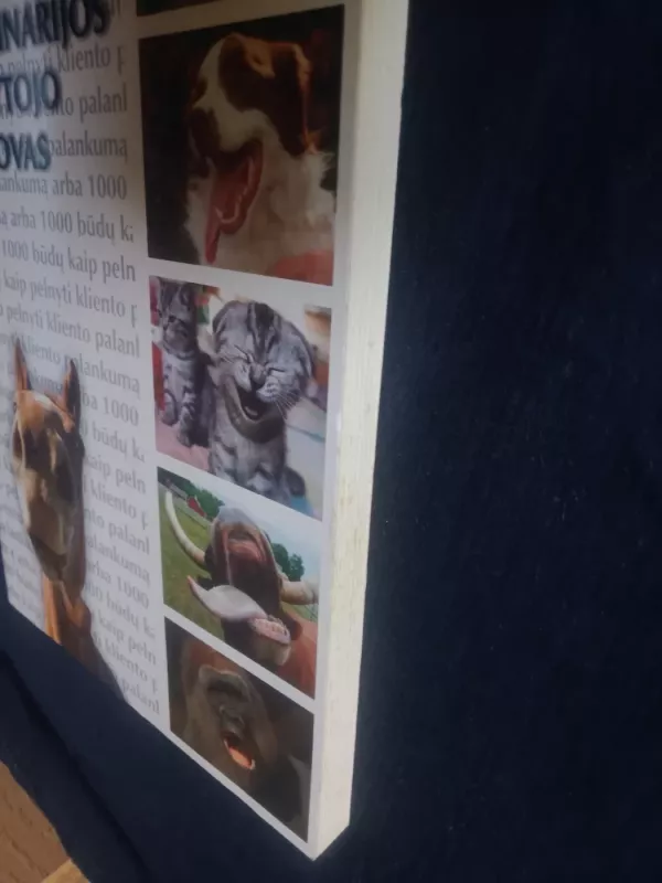 Linksmasis veterinarijos gydytojo vadovas: anekdotai - Vytautas Kandrotas, knyga 3