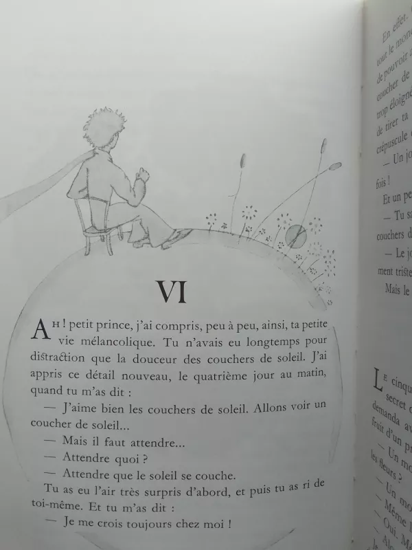 Le Petit Prince - Antoine de Saint-Exupéry, knyga 3