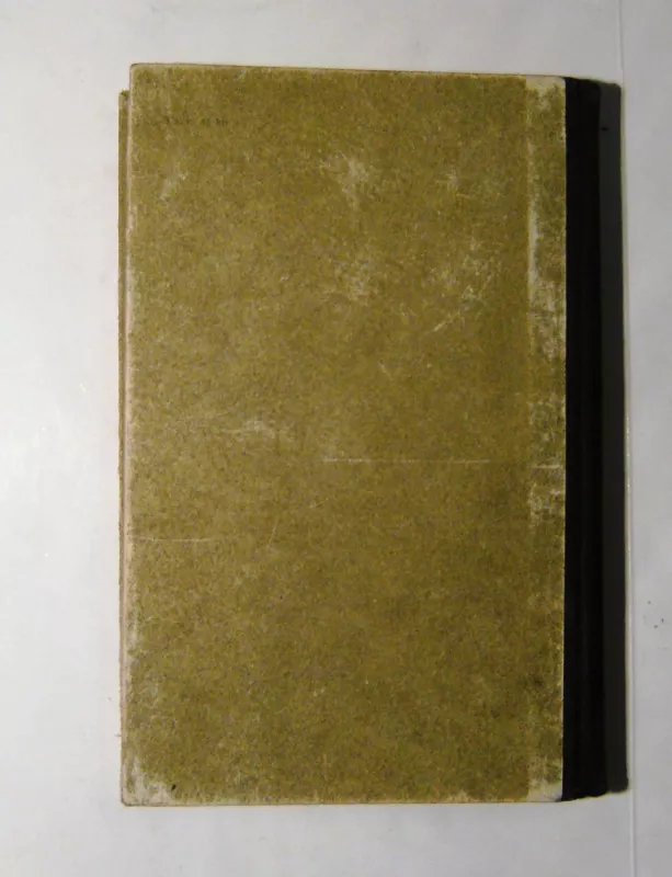 Šeimos laimė - F. Vigdorova, knyga 4