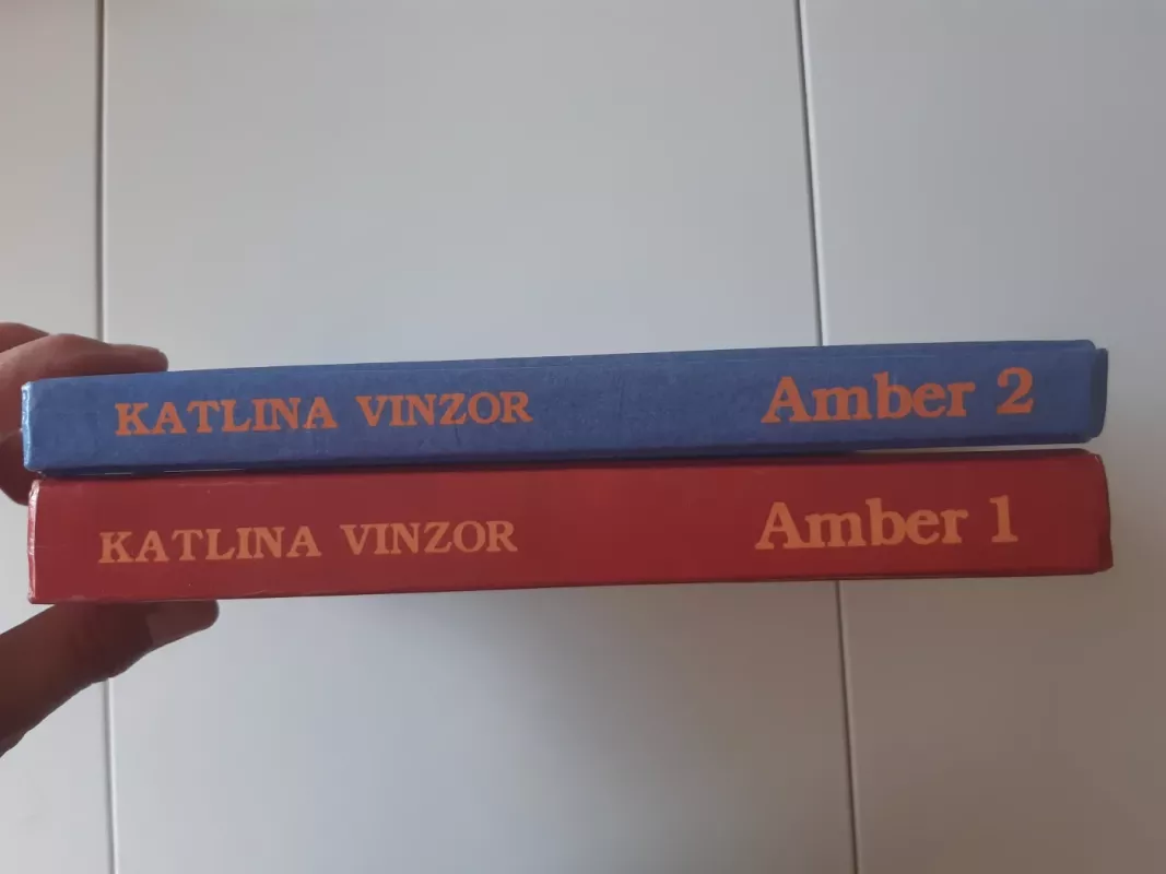 Amber (2 dalys) - Katlina Vinzor, knyga 3