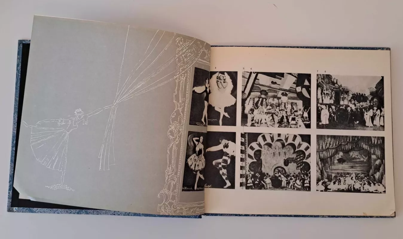 Baletas - Aliodija Ruzgaitė, knyga 4