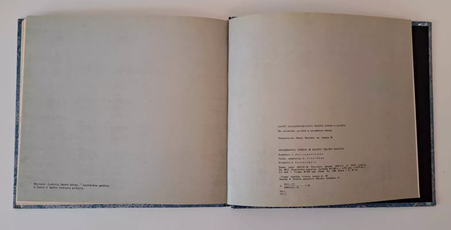 Baletas - Aliodija Ruzgaitė, knyga 5