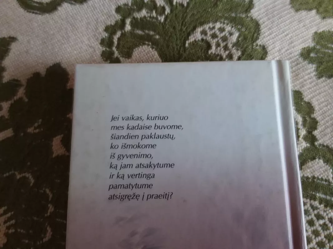 Palikę užuovėją - Richard Bach, knyga 3