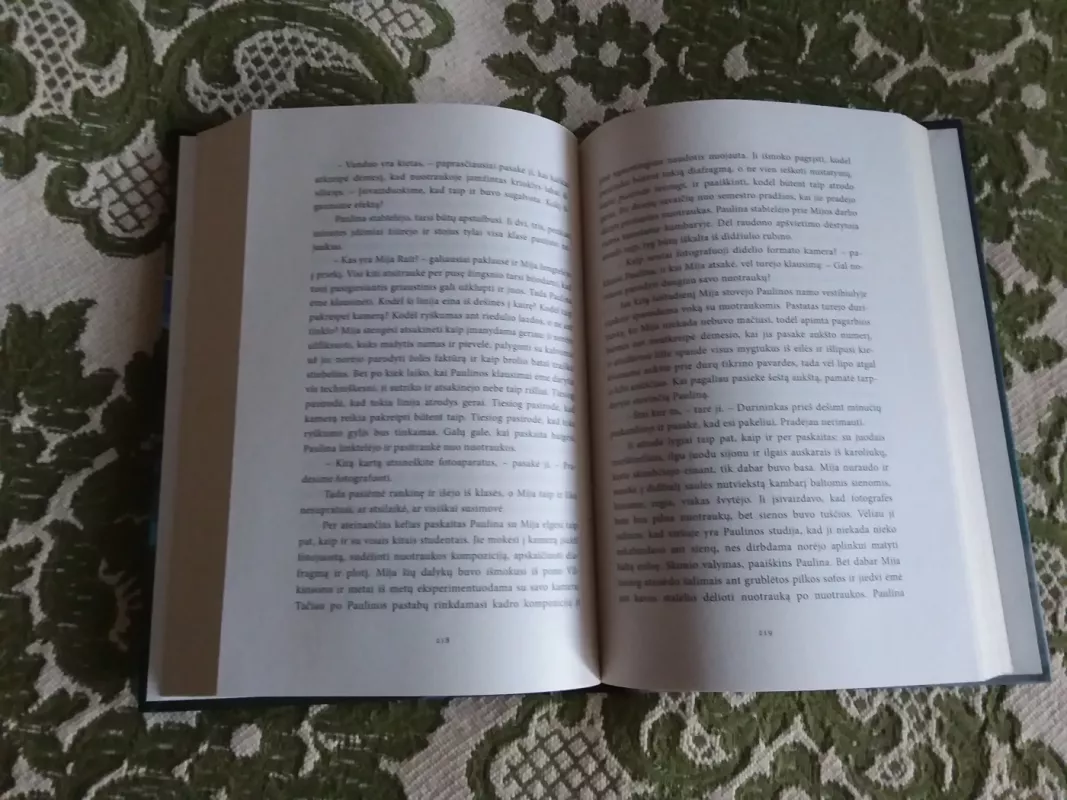 Tobuli gyvenimai liepsnoja skaisčiau - Celeste Ng, knyga 3