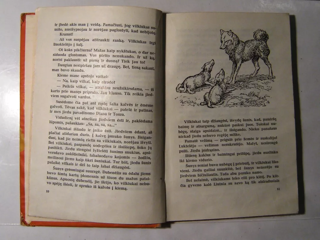 Vaikai ir žvėriukai - Olga Perovskaja, knyga 5