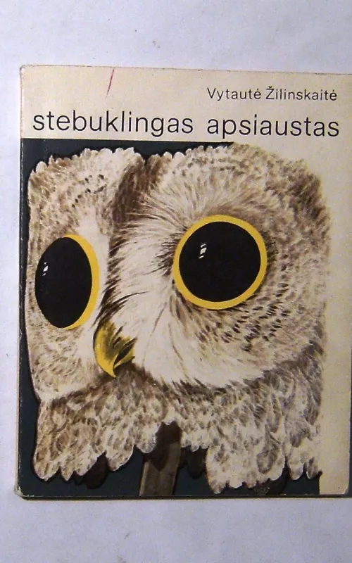 Stebuklingas apsiaustas - Vytautė Žilinskaitė, knyga 2