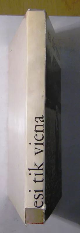 Esi tik viena - Autorių Kolektyvas, knyga 4