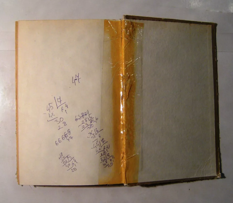 Gogolis - Igoris Zolotuskis, knyga 3