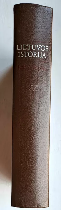 Lietuvos istorija - Adolfas Šapoka, knyga 3