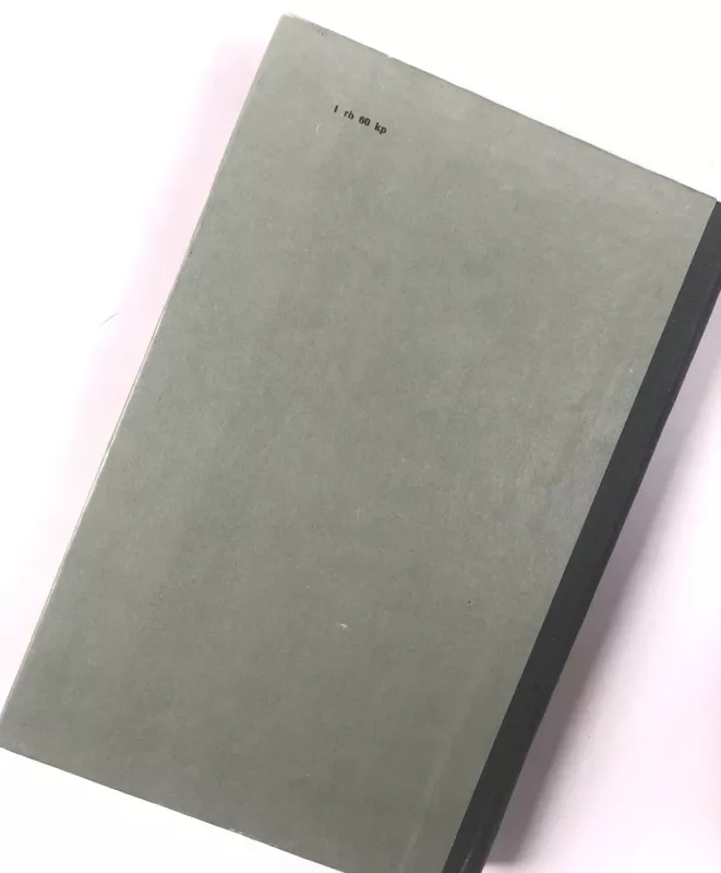 Briulovas - Vladimiras Porudominskis, knyga 4