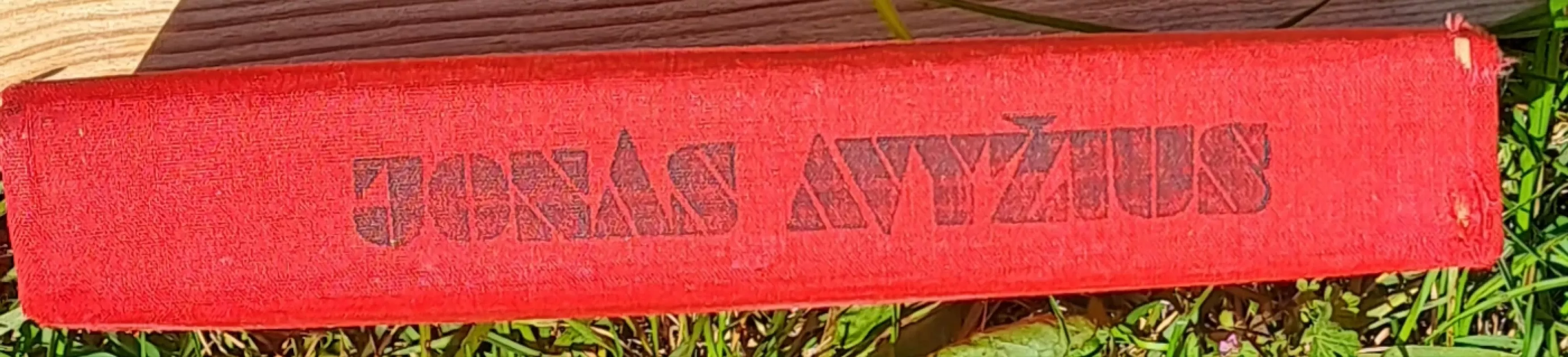 Sodybų tuštėjimo metas - Jonas Avyžius, knyga 3