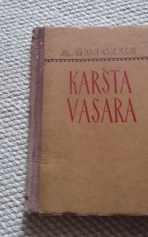 Karšta vasara - Augustinas Gricius, knyga 2