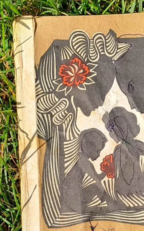 Šeimos sveikata - D. Kaufman, knyga 2