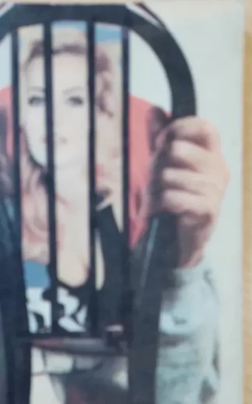 Kaukiantis šuo - Erle Stanley Gardner, knyga 2