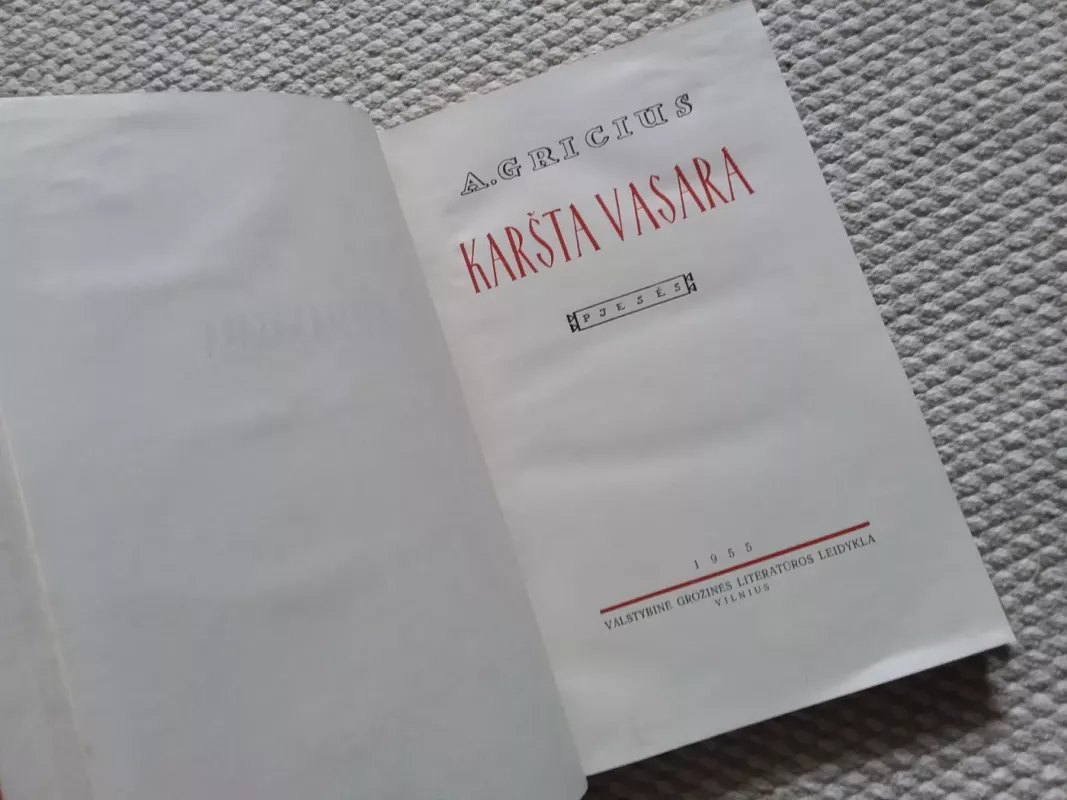 Karšta vasara - Augustinas Gricius, knyga 4