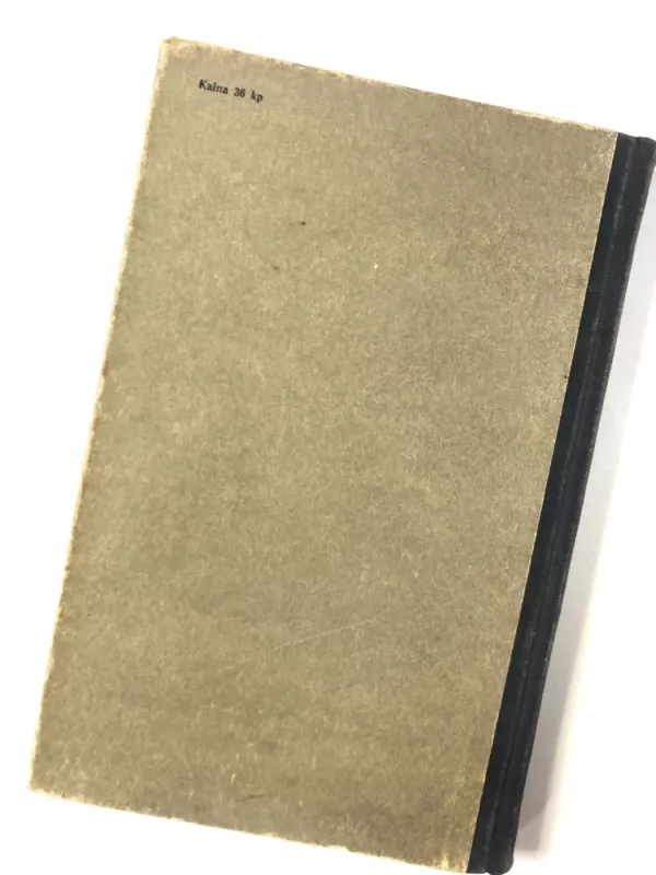 Nuo žemės į mėnulį - Žiulis Vernas, knyga 6