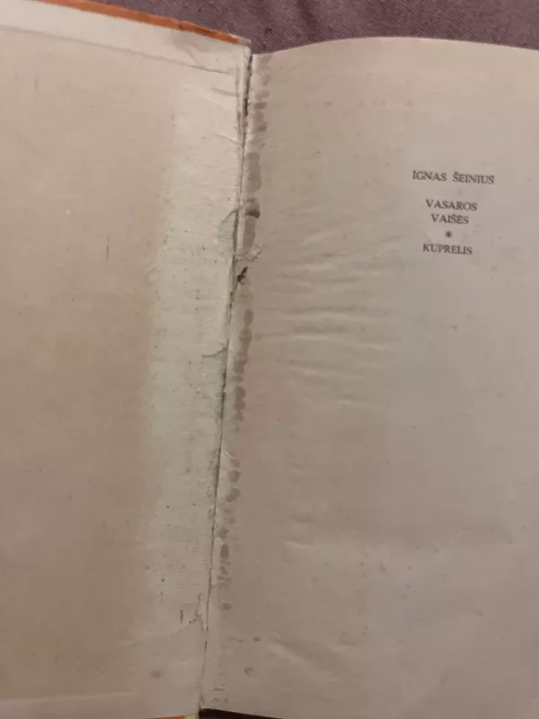 Kuprelis - Ignas Šeinius, knyga 3