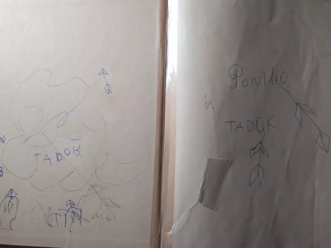 Kiškis ir vėžlys ir daug kitų pasakėlių - Peter Holeinone, knyga 3