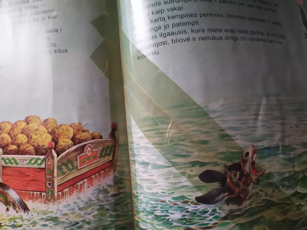 Kiškis ir vėžlys ir daug kitų pasakėlių - Peter Holeinone, knyga 4