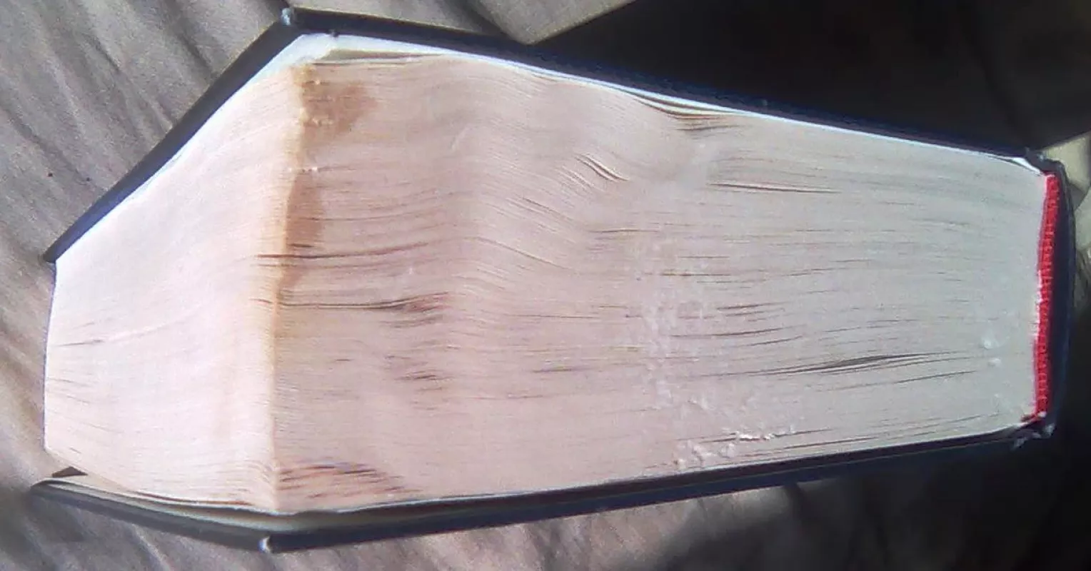 Šauniojo kareivio Šveiko nuotykiai - Jaroslavas Hašekas, knyga 4