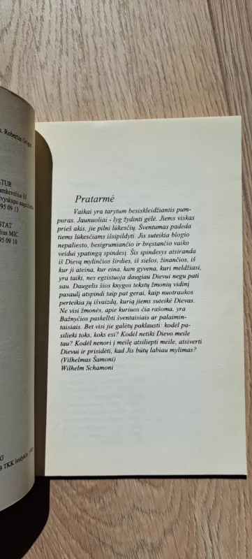 Jauni ir šventi - Wilhelm Schamoni, knyga 3