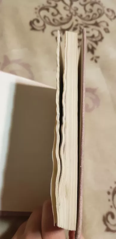 Laisvos valandos - Vincas Kudirka, knyga 6