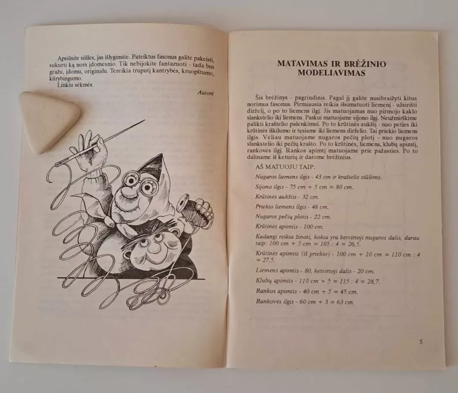 Pasipuoškime visos - Regina Rokienė, knyga 4