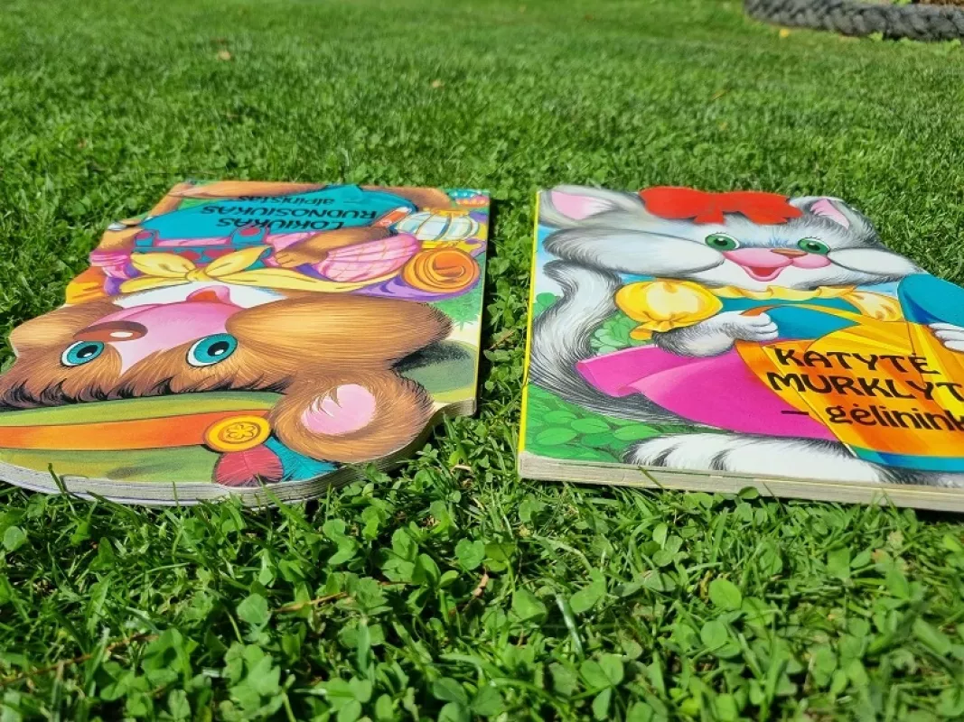 Katytė murklytė gėlininkė - Autorių Kolektyvas, knyga 4