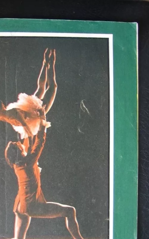 Jaunimo gretos 1973m. Nr.12 - Autorių Kolektyvas, knyga 2