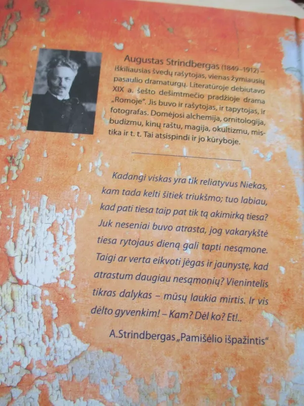 Pamišėlio išpažintis - August Strindberg, knyga 4
