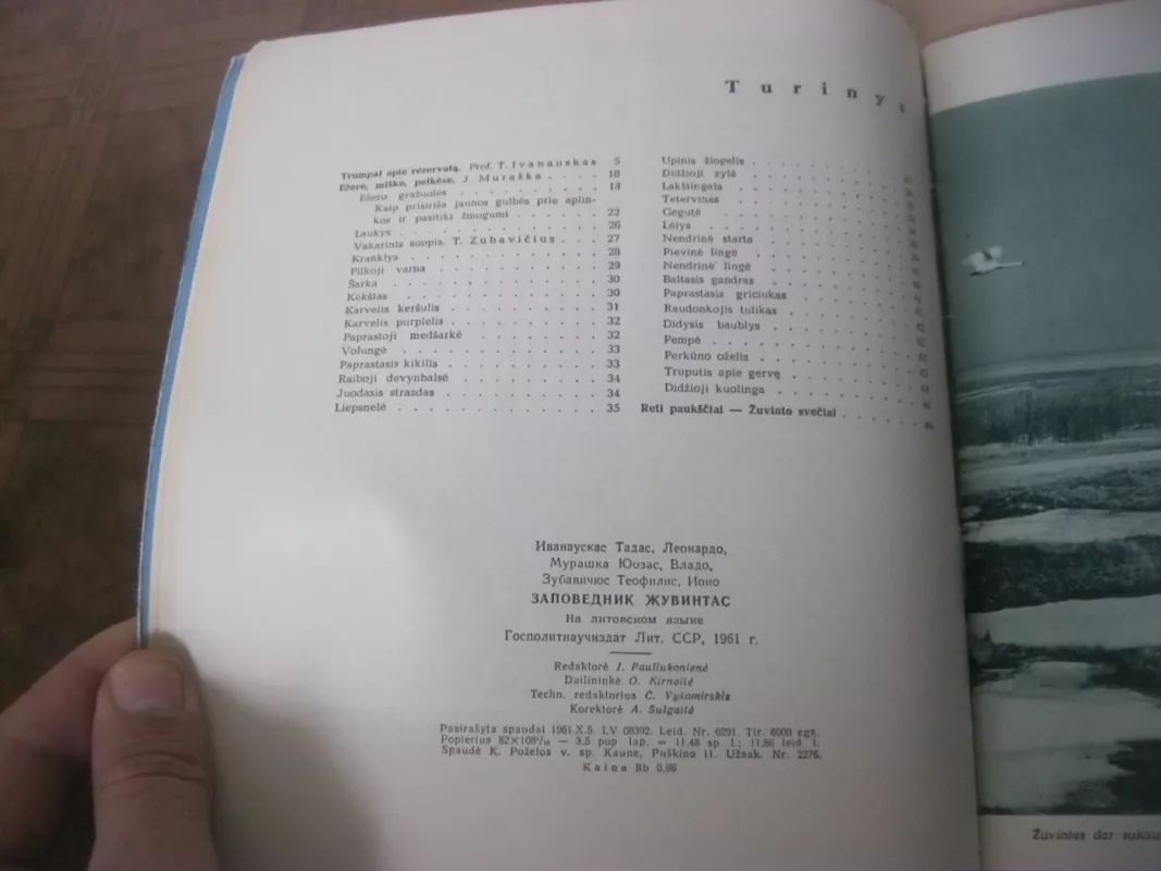 Žuvintas - T. Ivanauskas, ir kiti , knyga 4