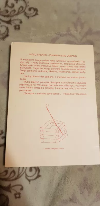 Kaip seniau Anykščiuose gyveno. Pro Bronės Buivydaitės kūrybos langą. - Dalia Repečkaitė, knyga 4