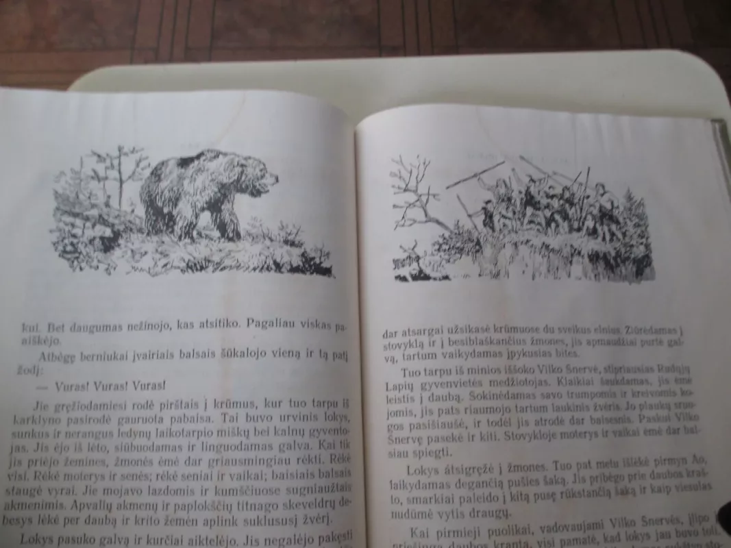 Mamutų medžiotojai - S. Pokrovskis, knyga 5