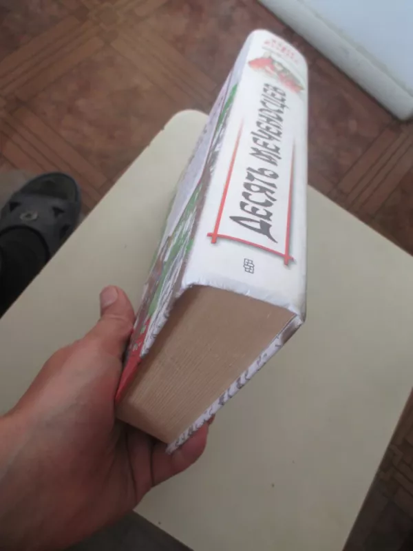 Десять меченосцев - Э. Есикава, knyga 5