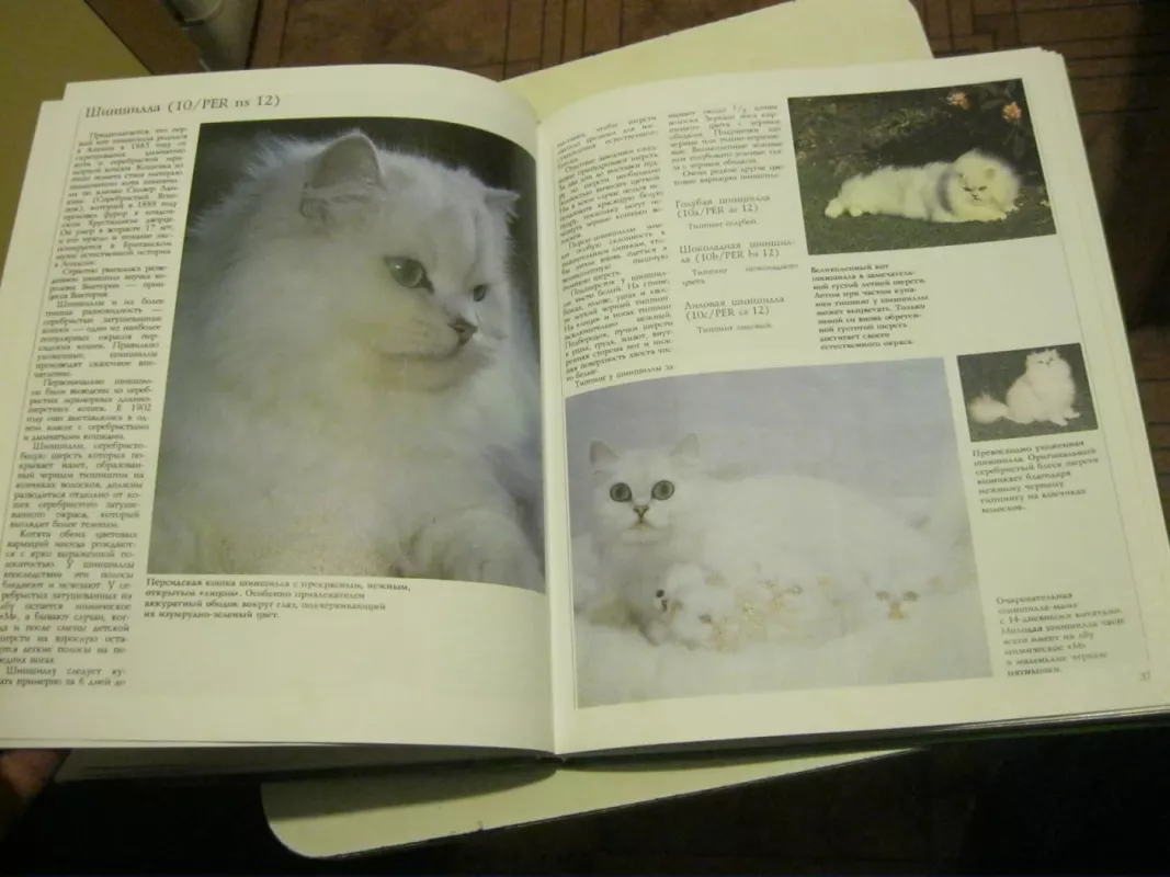 КОШКИ. ПОРОДЫ. ПОВАДКИ. УХОД. РАЗВЕДЕНИЕ. - Гербер Бербель, knyga 5