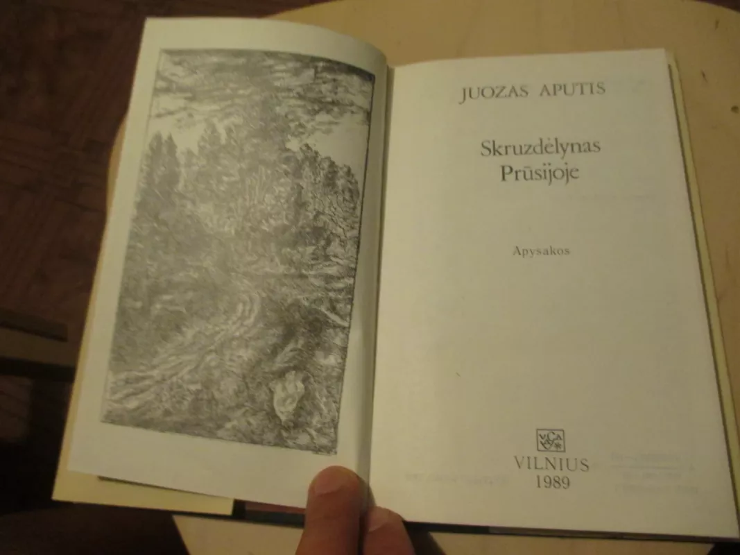 Skruzdėlynas Prūsijoje - Juozas Aputis, knyga 4