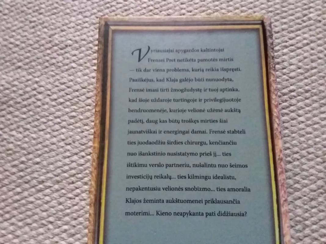 Gražiosios pievelės kaimo klubas - Nancy Geary, knyga 4